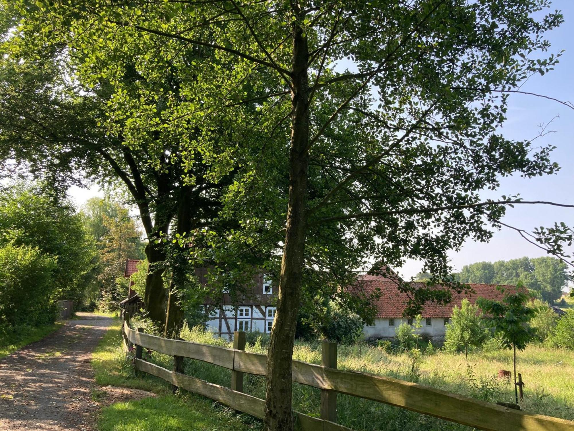 In Der Wassermuehle Melle Zewnętrze zdjęcie
